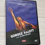 Gonosz halott avagy az erdő szelleme DVD - Sam Raimi filmje (szép állapotú, szinkronos) fotó