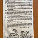 1703 Hód és szarvasok korabeli fametszeten - korai ábrázolás fotó