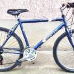 Caprine Cherokee 26" mtb kerékpár eladó fotó
