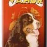 VAHUR - KUTYA A CSALÁDBAN (1999) DVD fotó