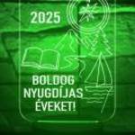 „Boldog nyugdíjas évek” – Szimbolikus 3D hatású LED lámpa fotó