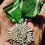 Német, náci Ostvölker Medaille, Keleti Népek medál ezüst fokozat, eredeti (3622) fotó