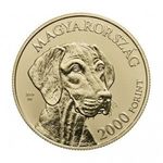 2000 forint Vizsla 2019 UNC prospektussal fotó
