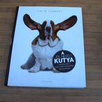 Colin Tennant A jól nevelt kutya - Gyakorlatok a viselkedési problémák megoldására fotó
