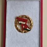Kiváló Ifjúsági Vezető Munkáért Kitüntetés KISZ-úttörő miniatűrrel dobozában R! 1Ft NMÁ fotó