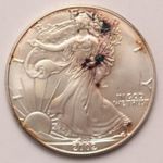 USA "Walking Liberty" 2002 Ag(.999) 1 uncia fotó