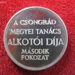 A CSONGRÁD MEGYEI TANÁCS ALKOTÓI DÍJA EZÜST: 19, 2g/800 PP, enyhe mikrokarc és oxidfolt fotó