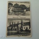 TOLNA ISKOLA, PARKRÉSZLET KÉPESLAP ÖZV. HORVÁTHNÉ KIADÁSA fotó