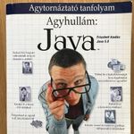Java Agyhullám fotó