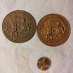 BARANYA MEGYEI TANÁCS KIVÁLÓ TÁRSADALMI MUNKÁÉRT ÉREM 2 db.Mérete: 50 mm. fotó