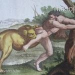 MILONE HARCA OROSZLÁN ÓKORI MITÓLÓGIA ERŐS FÉRFI AKT SZINES ACÉLMETSZET MILÁNÓ 1823 DIZIONARIO fotó