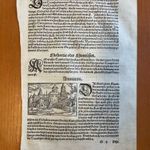 1550 Rimini, az ókori Ariminum fametszete , Münster Cosmografia című enciklopédiából fotó