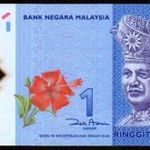 Malaysia 1 ringgit polymer UNC 2012 fotó