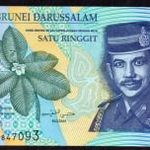 Brunei 1 ringgit polymer UNC 1996 fotó