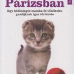 Egy macska Párizsban fotó