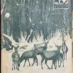 PAJTÁS ÚTTÖRŐ MAGAZIN 1964/50-51. SZÁM - BLOOD KAPITÁNY, PUSKÁK ÉS GALAMBOK KÉPREGÉNY, ZÓRÁD ERNŐ !! fotó