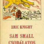 Sam Small csodálatos élete - Eric Knight fotó
