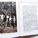 Nyisztor Zoltán- Felhőkarcolók, őserdők, hazátlanok (1935) fotó