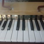 Vintage Bontempi B4 elektromos orgona 1979-ből fotó