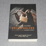 Gillian Flynn - Sötét helyek fotó