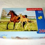 AKCIÓ!!! Castorland - Lovas puzzle 8+ fotó