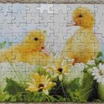 Kiskacsás puzzle - 100 db-os (Prinz) fotó