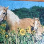Készségfejlesztő Ravensburger puzzle 200 darabos. fotó