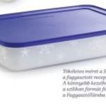 Tupperware Fagyasztó Társ 2, 25L! fotó