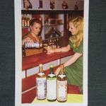Kártyanaptár, Vermut, Likőr, szőlészeti borászati kutató intézet, Budapest, mini bár, női modell, 1976 (1) fotó