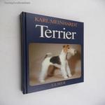 Karl Meinhardt: Terrier fotó