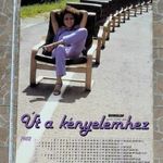 BUBIV bútorgyár retro óriás reklám naptár plakát 1982 - fotómodell Kristyán Judit, Fenyő-gyilkosság fotó
