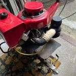 Robi 151 rotációs kapa fotó