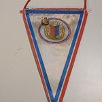 CSEPEL SC SPORTZÁSZLÓ + KITŰZŐ 1FT fotó