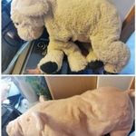 IKEA plüssök 001. (Malac és labrador) fotó