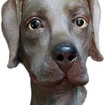 Halloween állati kutyajelmez labrador fej fotó