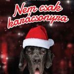 Nem csak karácsonyra fotó