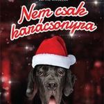 Natalia Cox: Nem csak karácsonyra (2019) fotó