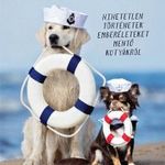 Laura Greaves: Megmentők - Hihetetlen történetek emberéleteket mentő kutyákról (2020) fotó