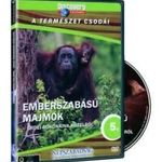 Emberszabású majmok - Erdei rokonaink közelről - Discovery Channel DVD fotó