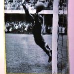 Aranycsapat eredeti sajtófotó 1952 Magyarország-Finnország 6: 1 Kocsis gól Helsinki olimpia elő meccs fotó