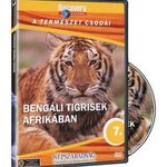Bengáli tigrisek nyomában - DVD ismeretterjesztő film - A természet csodái sorozat fotó