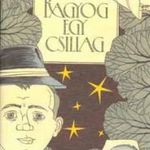 Ragyog egy csillag - Tamási Áron fotó