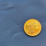 SEYCHELLES / SEYCHELLE-SZIGETEK 5 CENT / FIVE CENTS 2007 PÁLMAFA! RITKA! UNC! fotó