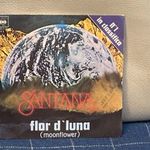 Santana - Flor d' luna ( moonflower ) / Trancedance SP fotó