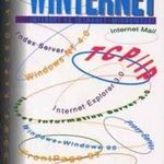WINternet Internet és intranet - Windowszal fotó