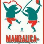 Mangalicacsárdás fotó