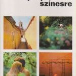 Fényképezzünk színesre fotó