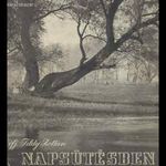 Ifj. Tildy Zoltán: Napsütésben fotó