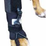 Walkinpets - lépéskorrigáló mellső lábra XS fotó