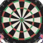 vidaXL szizálból készült professzionális darts tábla 6 nyíllal fotó